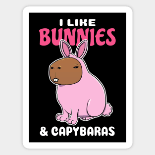 I Like Bunnies and Capybaras Cartoon Magnet